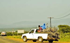 Swazimaa: talous, poliittinen järjestelmä, väestö, tiede ja kulttuuri