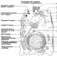 Šta su mitohondrije Karakteristike i funkcije mitohondrija